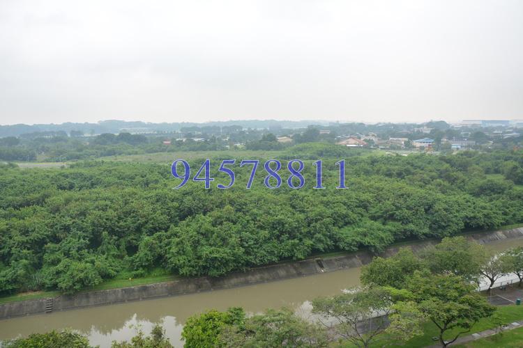 Blk 320 Hougang Avenue 5 (Hougang), HDB 5 Rooms #157488792